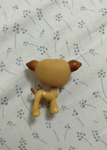 lps miniş - Görsel 2