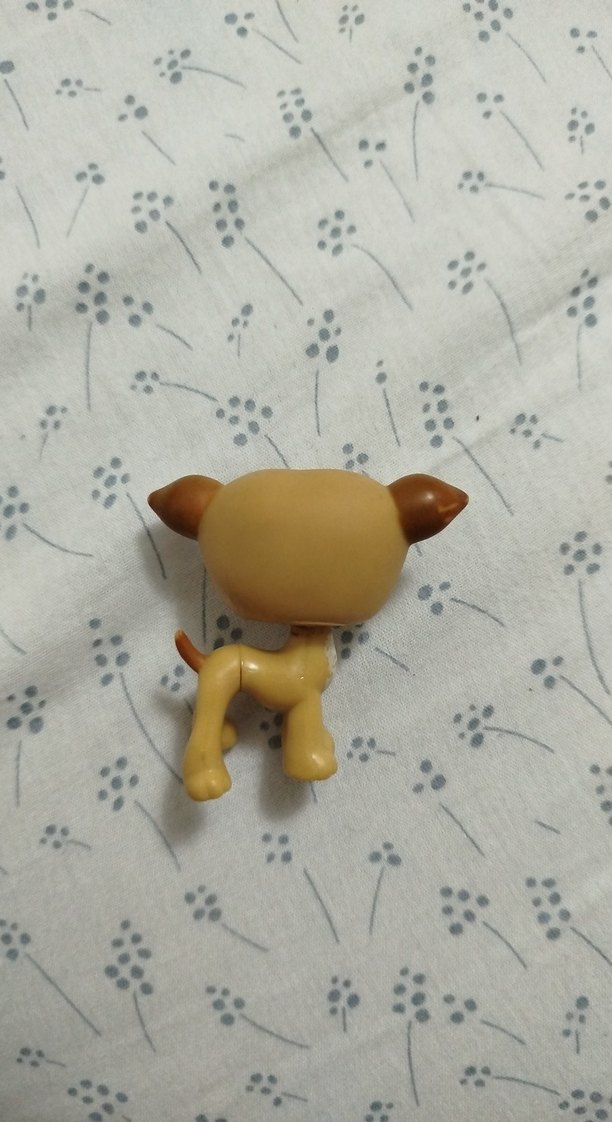 lps miniş - Görsel 2