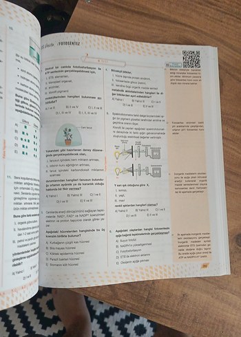 Beden AYT Biyoloji Soru Kitabı Palme Yayınları