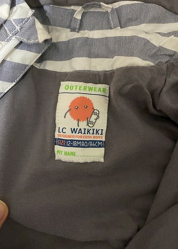 LC Waikiki  Erkek Bebek Çizgili Mevsimlik ceket - Görsel 3