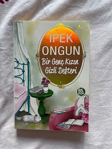 BİR GENÇ KIZIN GİZLİ DEFTERİ 1