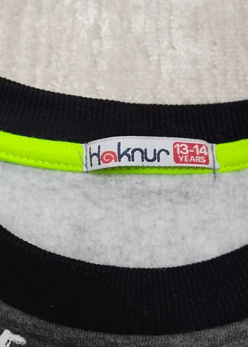 Erkek Gri Baskılı Sweatshirt - Görsel 3