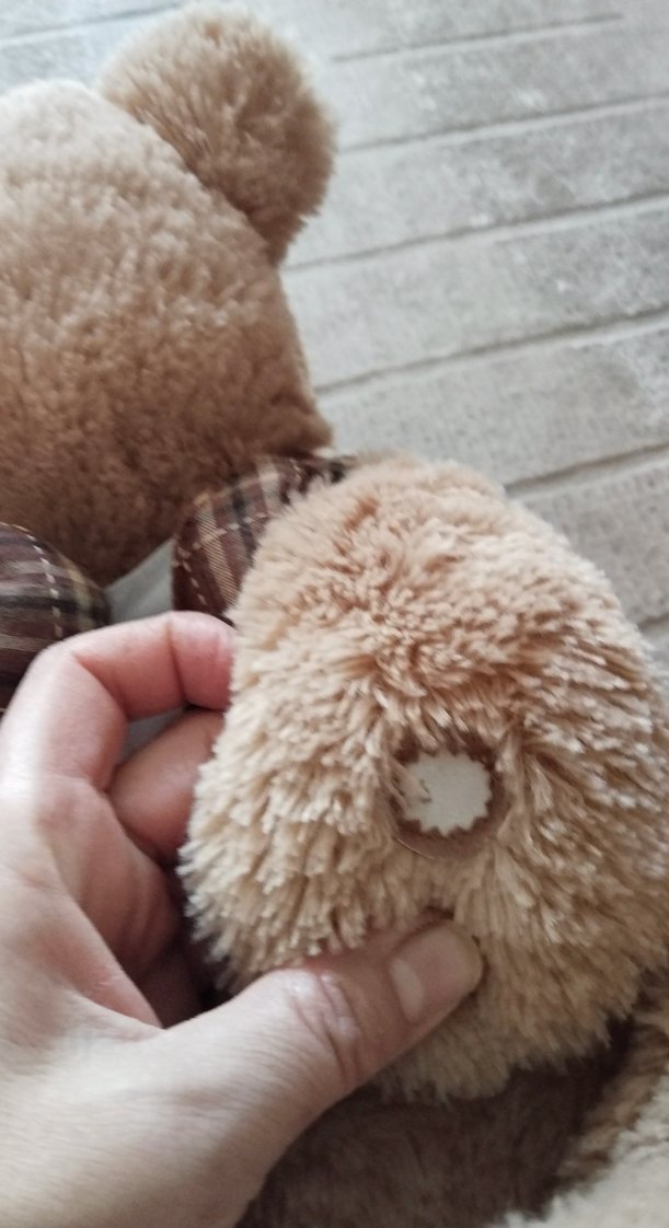 Kahverengi Peluş Ayıcık Oyuncak - Görsel 3