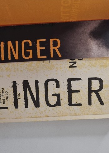 Edward Fallon linger - Görsel 2