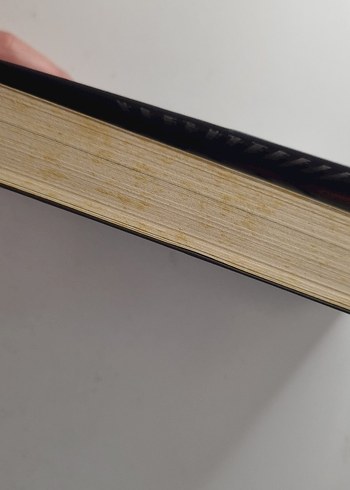 Edward Fallon linger - Görsel 3