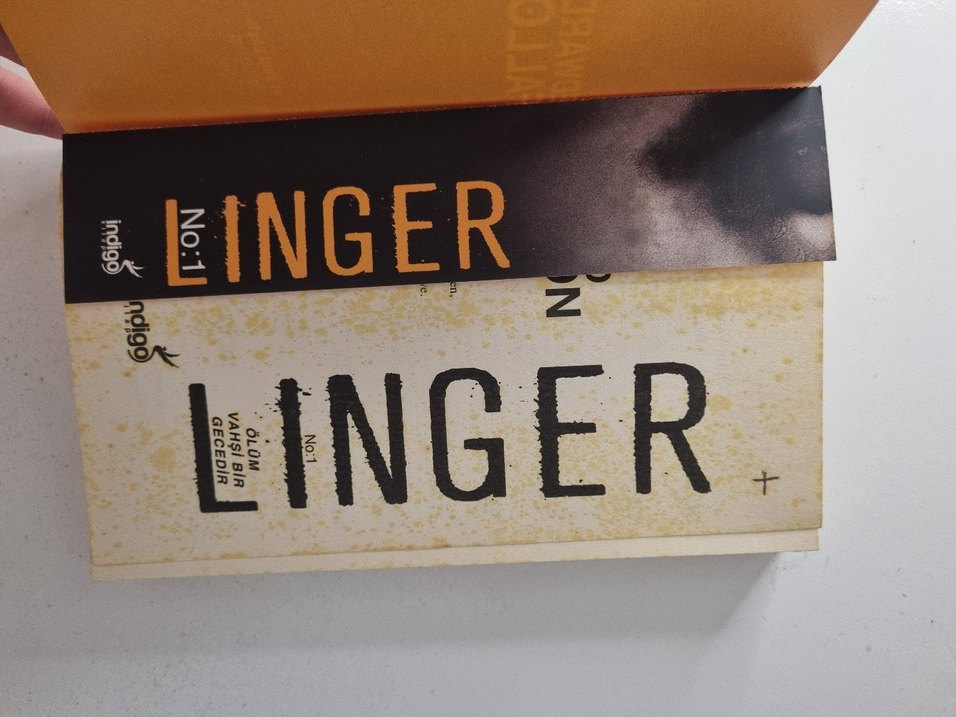 Edward Fallon linger - Görsel 2