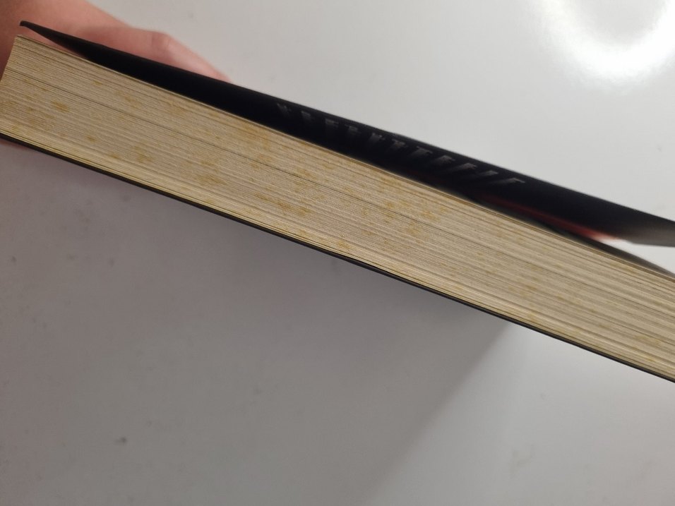 Edward Fallon linger - Görsel 3