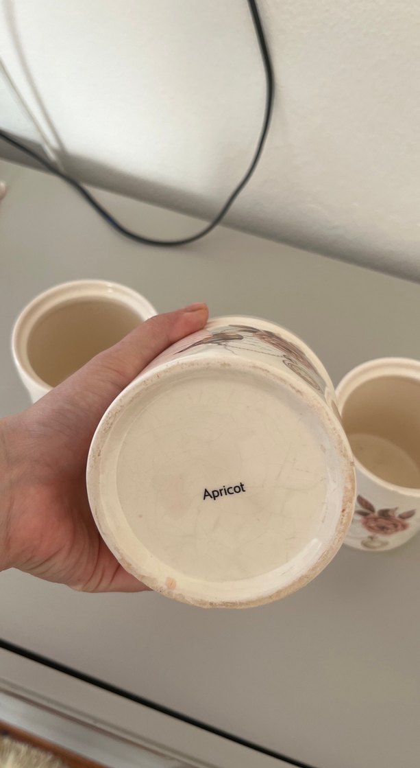 Bej Kuş ve Gül Desenli Seramik Mutfak Kavanozları Kutusu - Görsel 4