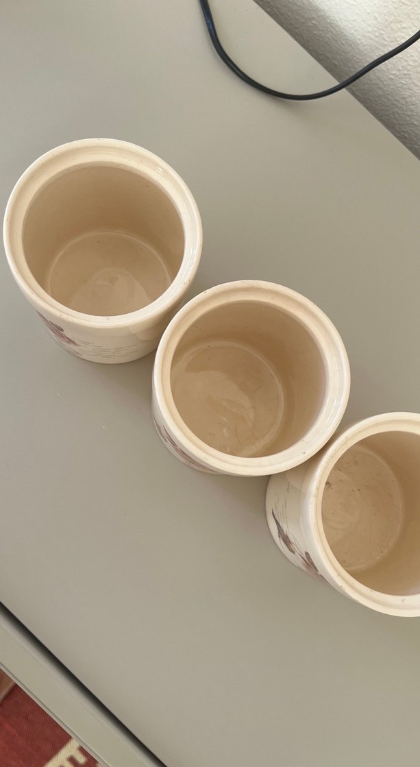 Bej Kuş ve Gül Desenli Seramik Mutfak Kavanozları Kutusu - Görsel 2