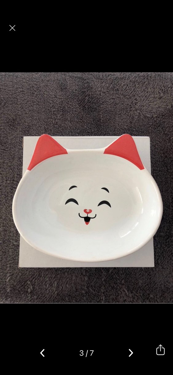 Renkli Kulaklı Kedi Mama Kabı Seti - Görsel 3