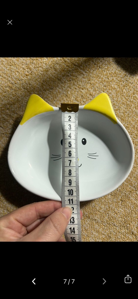 Renkli Kulaklı Kedi Mama Kabı Seti - Görsel 4