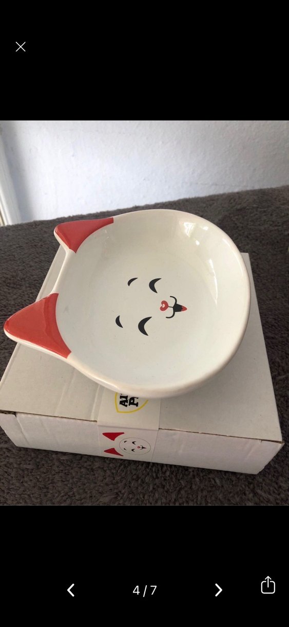 Renkli Kulaklı Kedi Mama Kabı Seti - Görsel 5