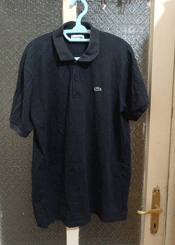Lacoste xl