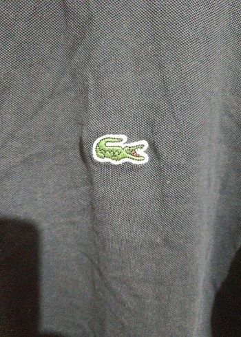 Erkek Siyah Lacoste Keten Polo Tişört - Görsel 3