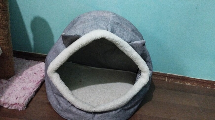Kedi evi, kedi yatağı