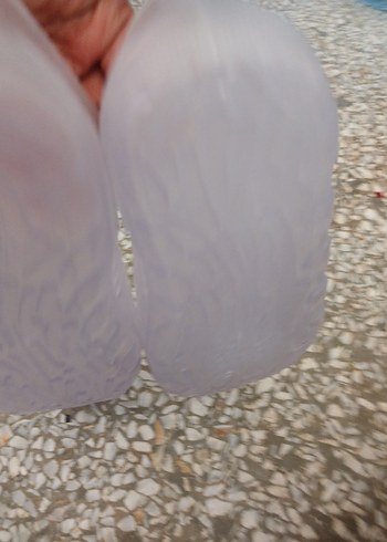 Şeffaf Yılan Desenli Erkek Su Ayakkabısı - Görsel 4