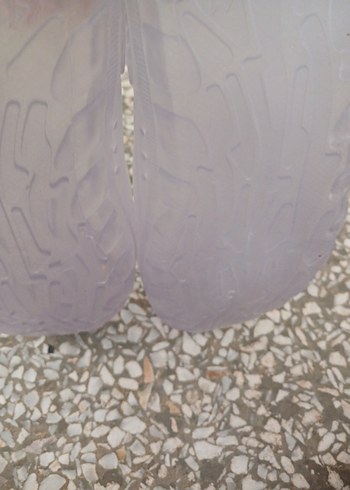 Şeffaf Yılan Desenli Erkek Su Ayakkabısı - Görsel 5