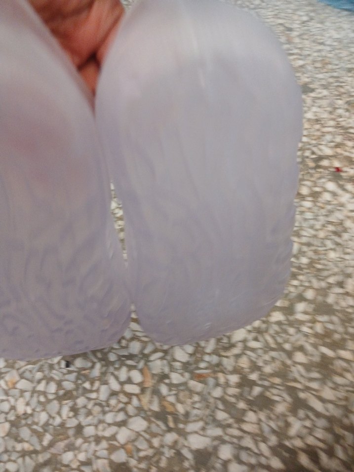 Şeffaf Yılan Desenli Erkek Su Ayakkabısı - Görsel 4