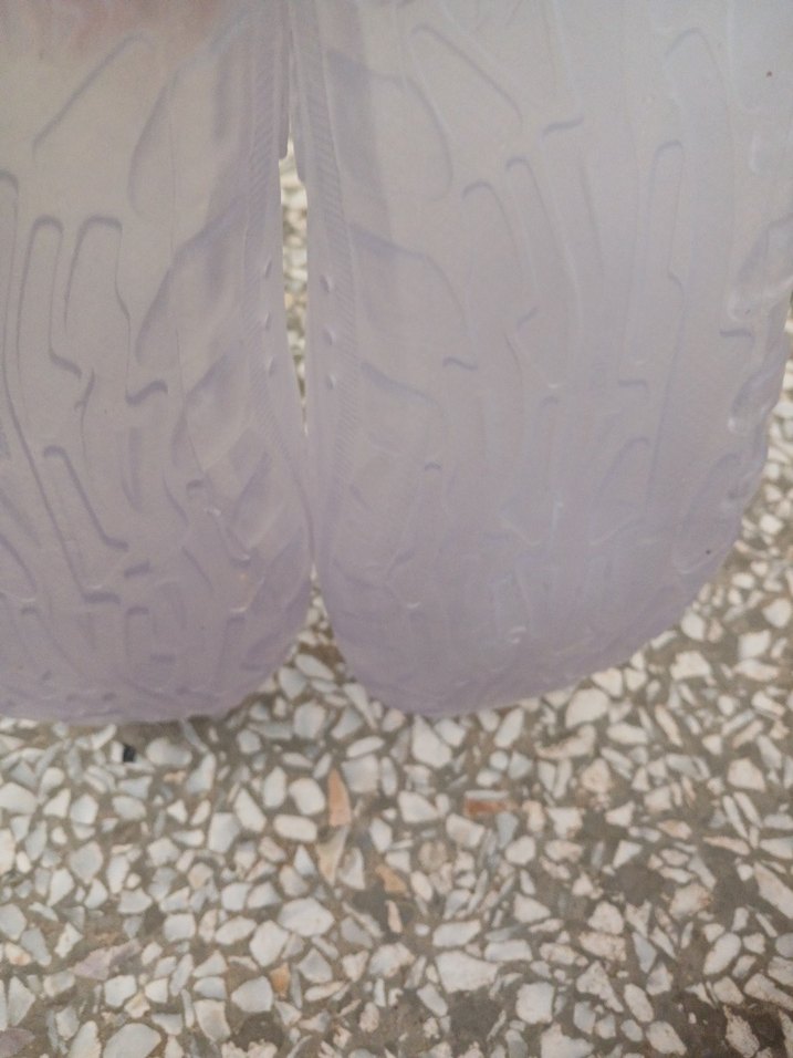 Şeffaf Yılan Desenli Erkek Su Ayakkabısı - Görsel 5