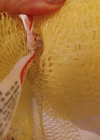 Sarı Banyo lifi - Görsel 4