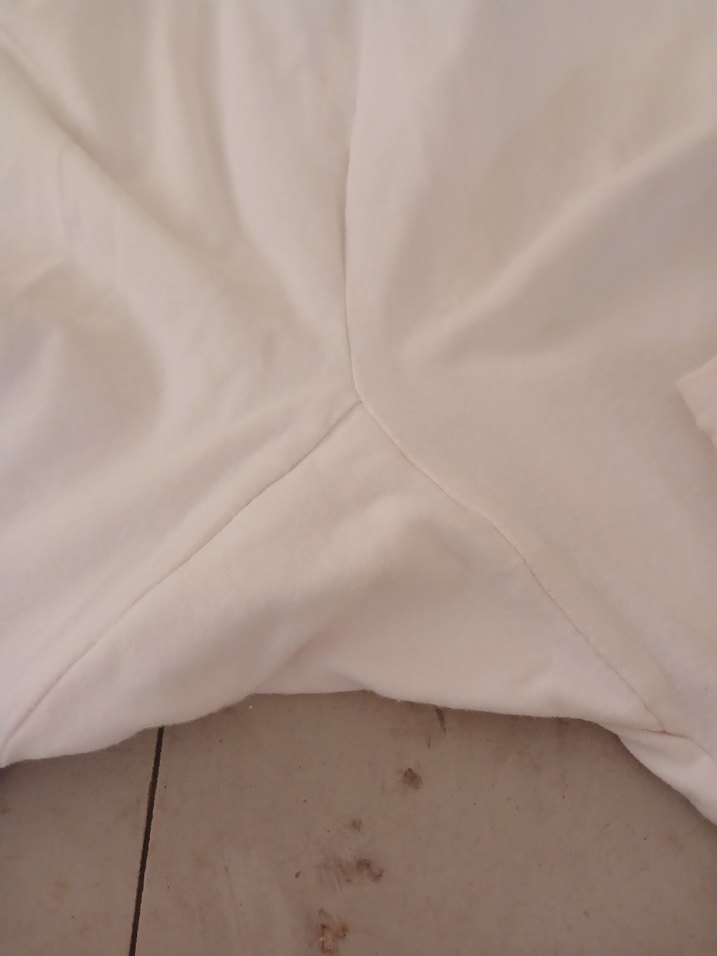 Beyaz fanuyliye - Görsel 3