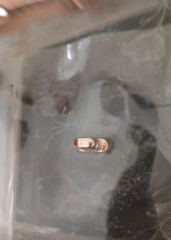 Zincir Detaylı Parlak şeffaf Kadın Çantası - Görsel 13