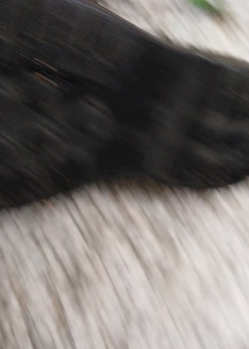 Tokalı Siyah Erkek Botu - Görsel 6