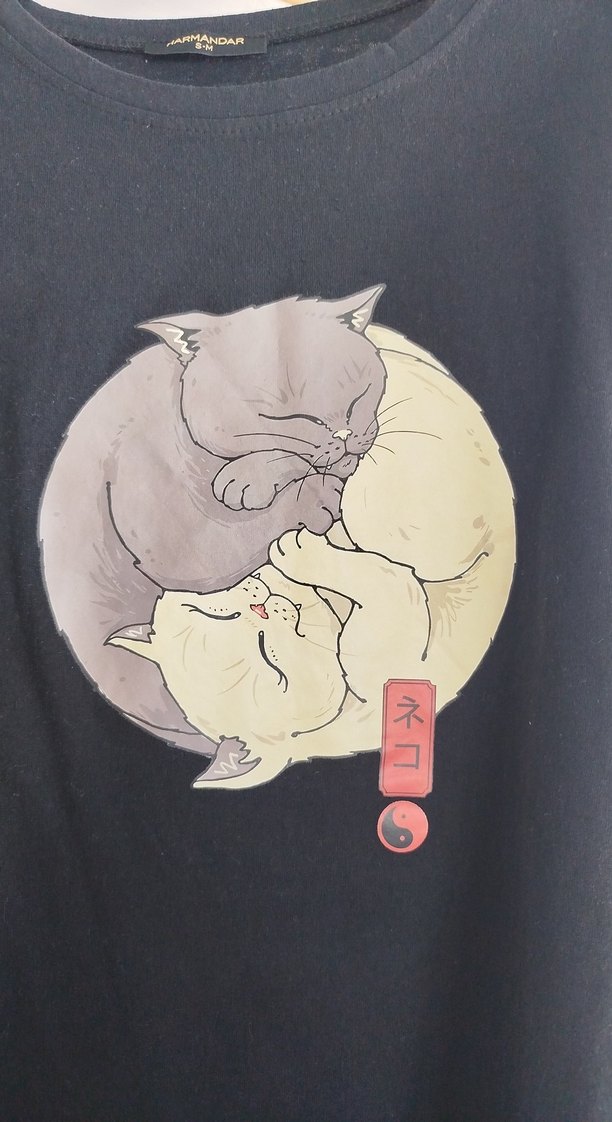 Siyah Baskılı Kısa Kollu Tişört - Görsel 3