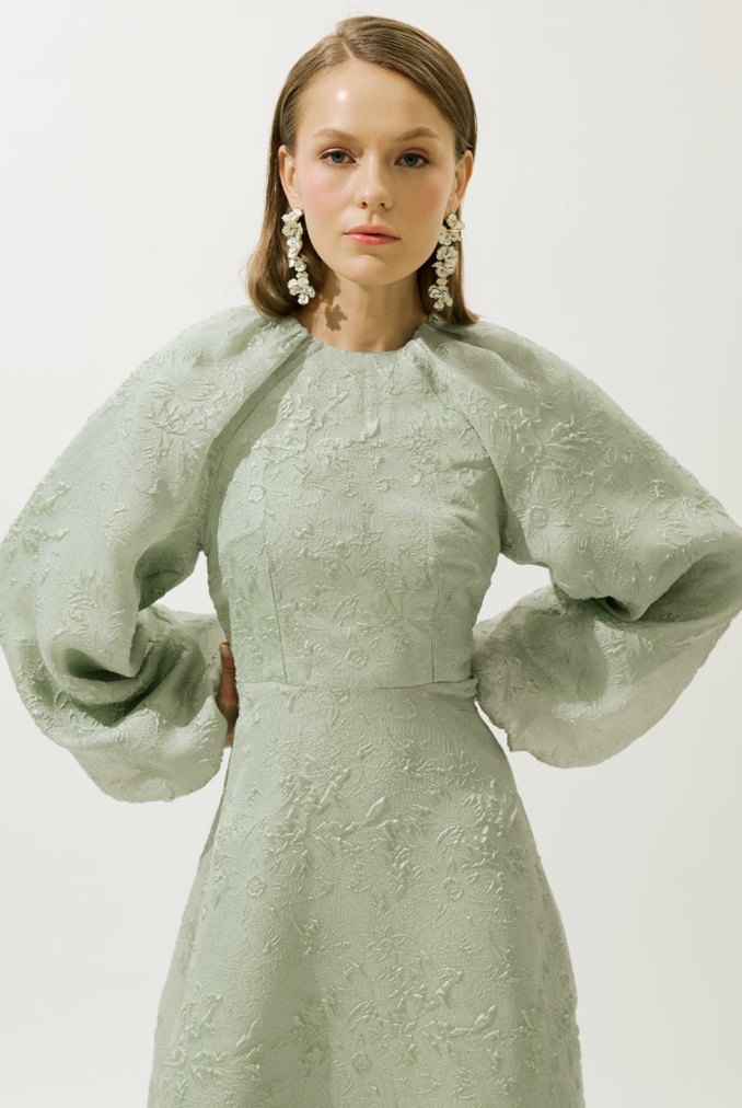 KİRALIK Manuka Jakar Organze Abiye Elbise - Görsel 3