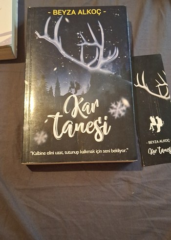 Beden Beyza Alkoc kar tanesi ve kar küresi