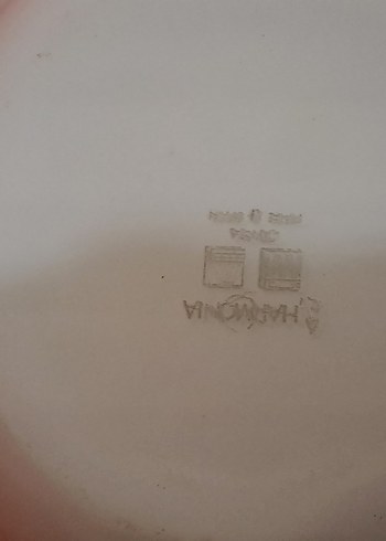 tabaklar Mavi Kenarlı Yemek Tabağı net fiyat - Görsel 3