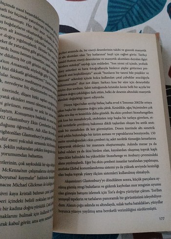 Daniel Pinchbeck 2012 Maya Kehaneti Kitabı - Görsel 3