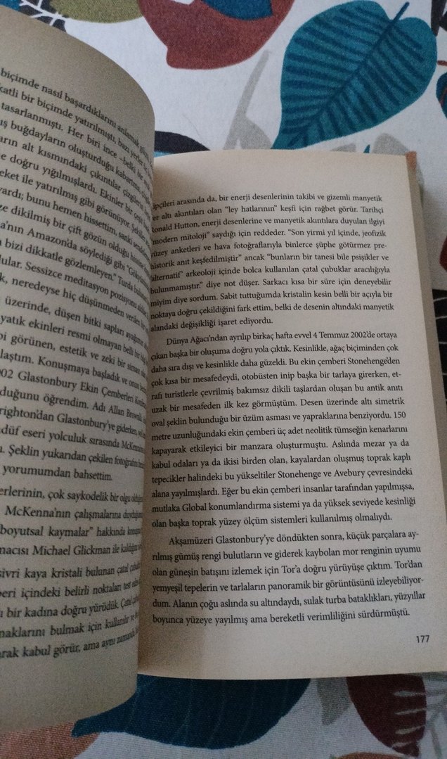 Daniel Pinchbeck 2012 Maya Kehaneti Kitabı - Görsel 3