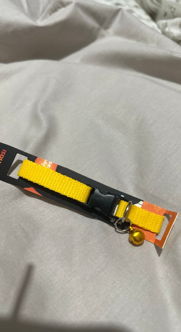 Sarı Renkli Kedi Boyun Tasması - Görsel 3