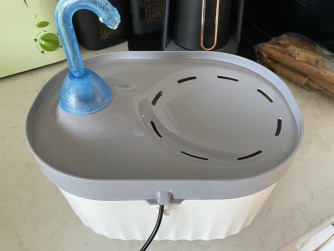 Kedi Su pınarı - Görsel 3