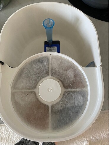 Kedi Su pınarı - Görsel 2