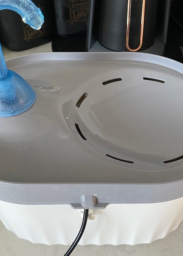 Kedi Su pınarı - Görsel 3