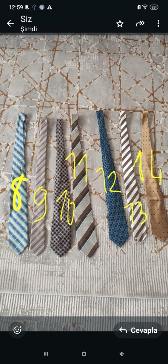 Erkek Çok Renkli İş Kravatları Seti - Görsel 2