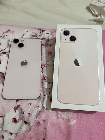 Apple 13