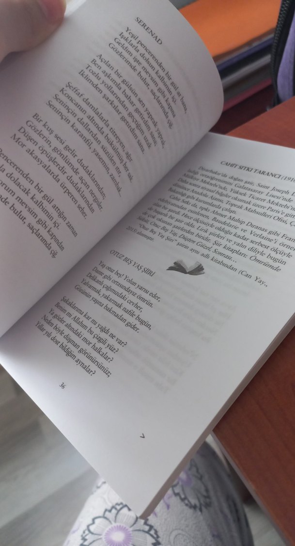 Şiir Dünyasına Yolculuk Kitabı - Görsel 3