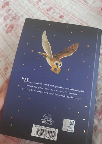 Harry Potter ve felsefe taşı - Görsel 4