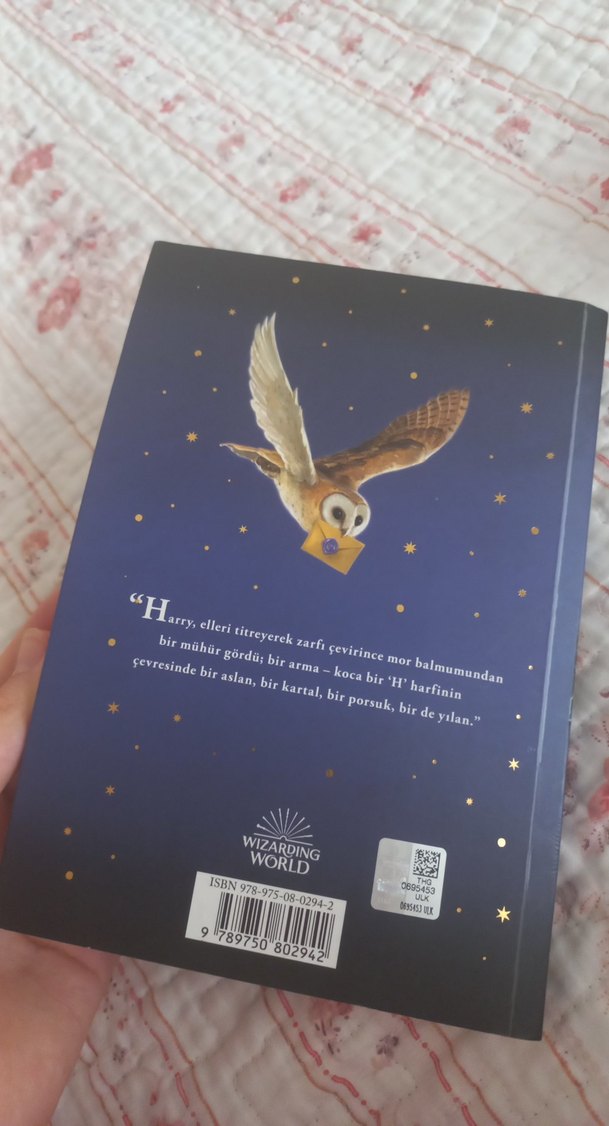 Harry Potter ve felsefe taşı - Görsel 4