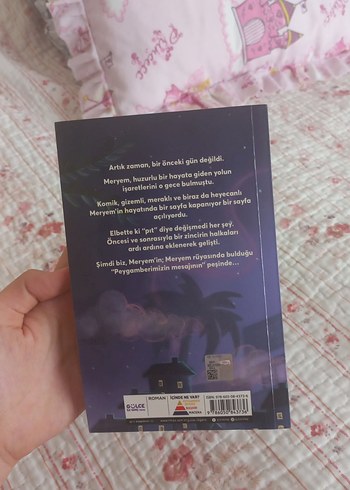 Kayıp Rüyanın Peşinde - Alara Uçar - Görsel 3