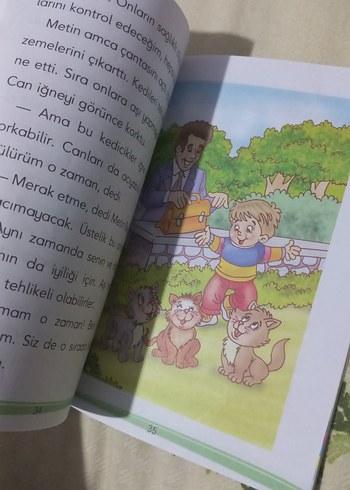  Beden Kimsesiz Kedicikler Kulübesi Çocuk Kitabı