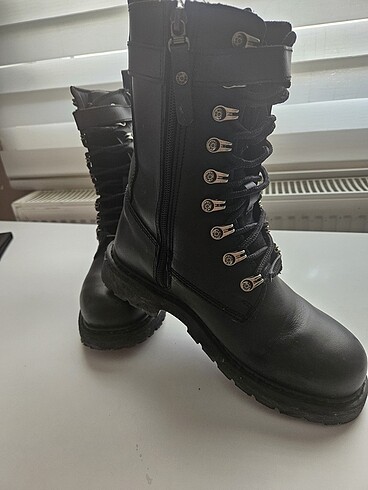 39 Beden Harley davidson bot