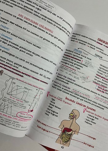  Dereceli Öğrencilerden Onaylı Biyoloji Ders Notları