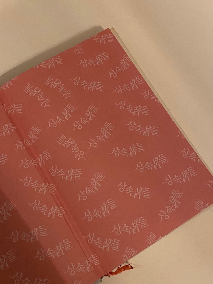 Mirasçılar Kore Kitabı, Romanı - Görsel 2