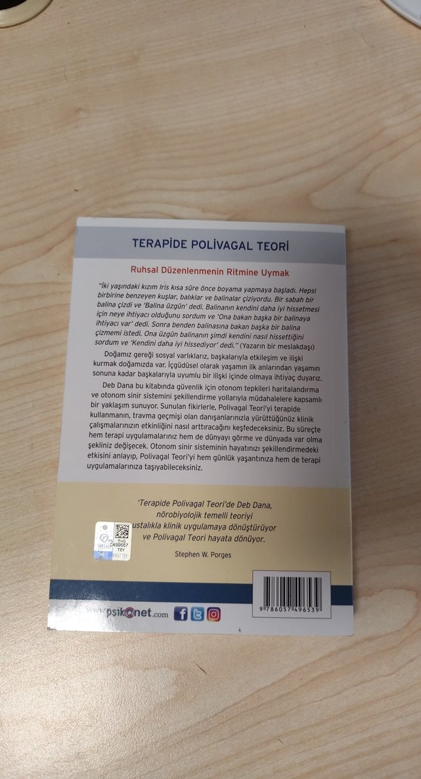 Terapide Poli Vagal Teori Kitabı - Görsel 2