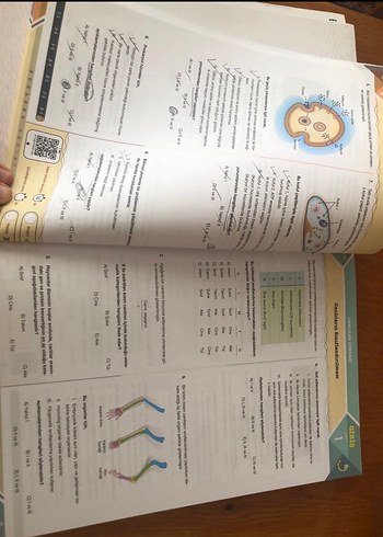 Kronometre Yayınları TYT-AYT Biyoloji Soru Bankası - Görsel 2