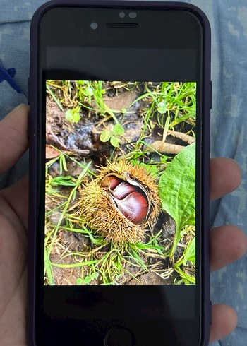 Kullanılmış iPhone Beyaz  Renk iPhone 2020 model - Görsel 7